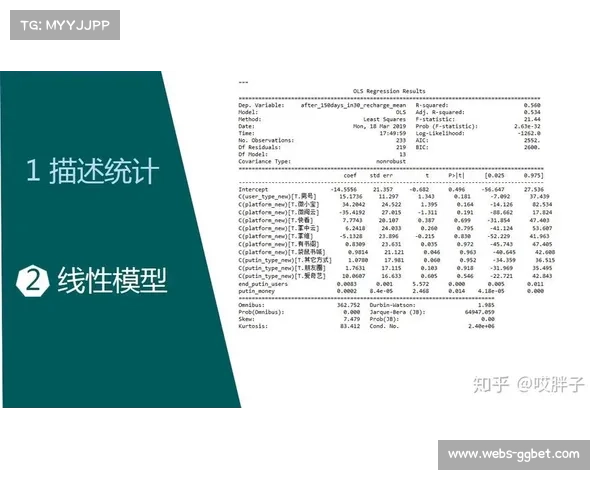 足球数据分析：为爱好者与专业人士提供全面讨论与决策支持